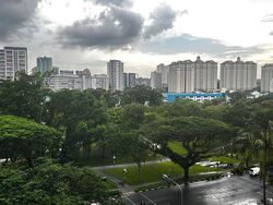 Blk 235 Ang Mo Kio Avenue 3 (Ang Mo Kio), HDB 3 Rooms #554987121